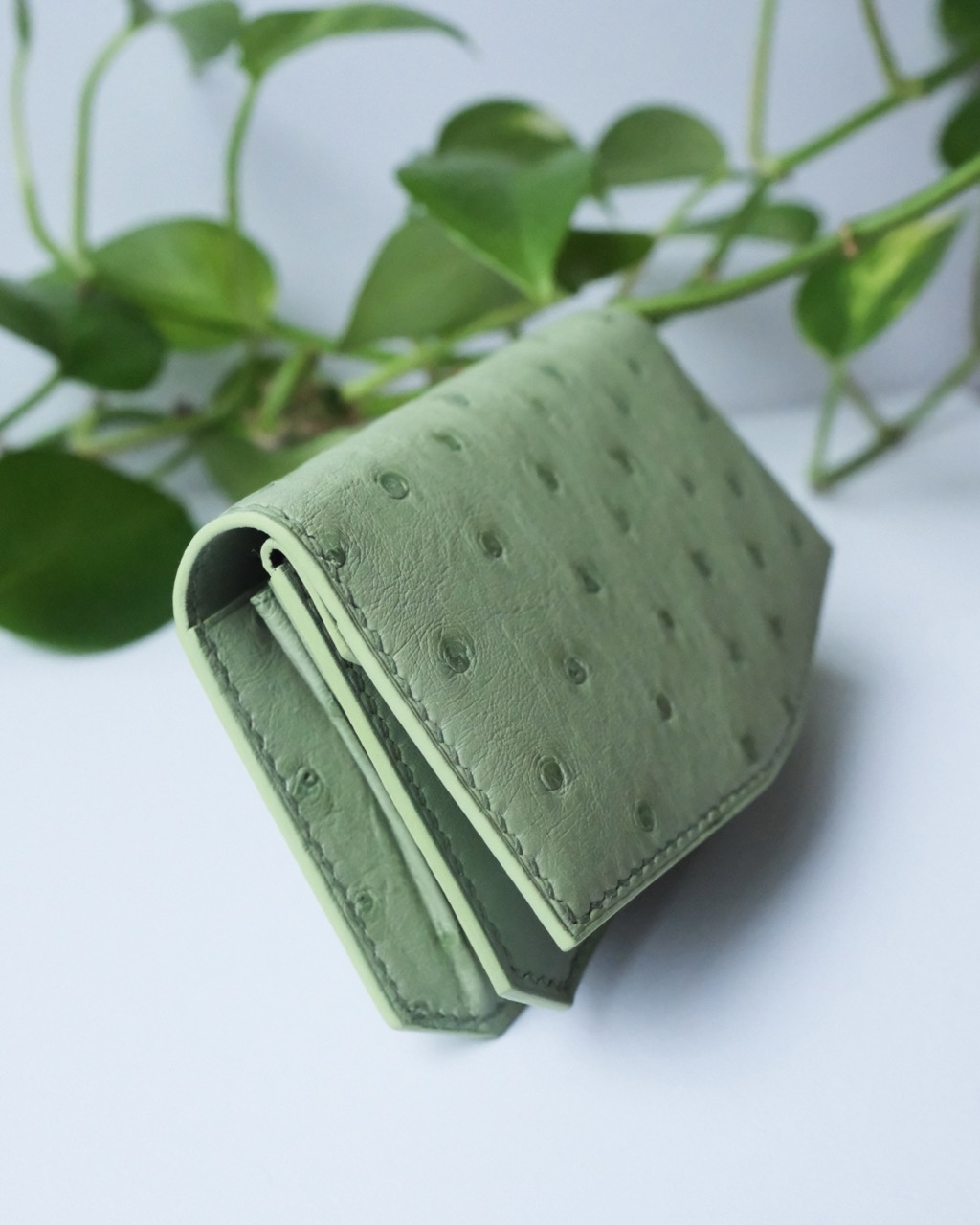 Atelier Dast - Signature Coin Purse - Ostrich - Apple Green